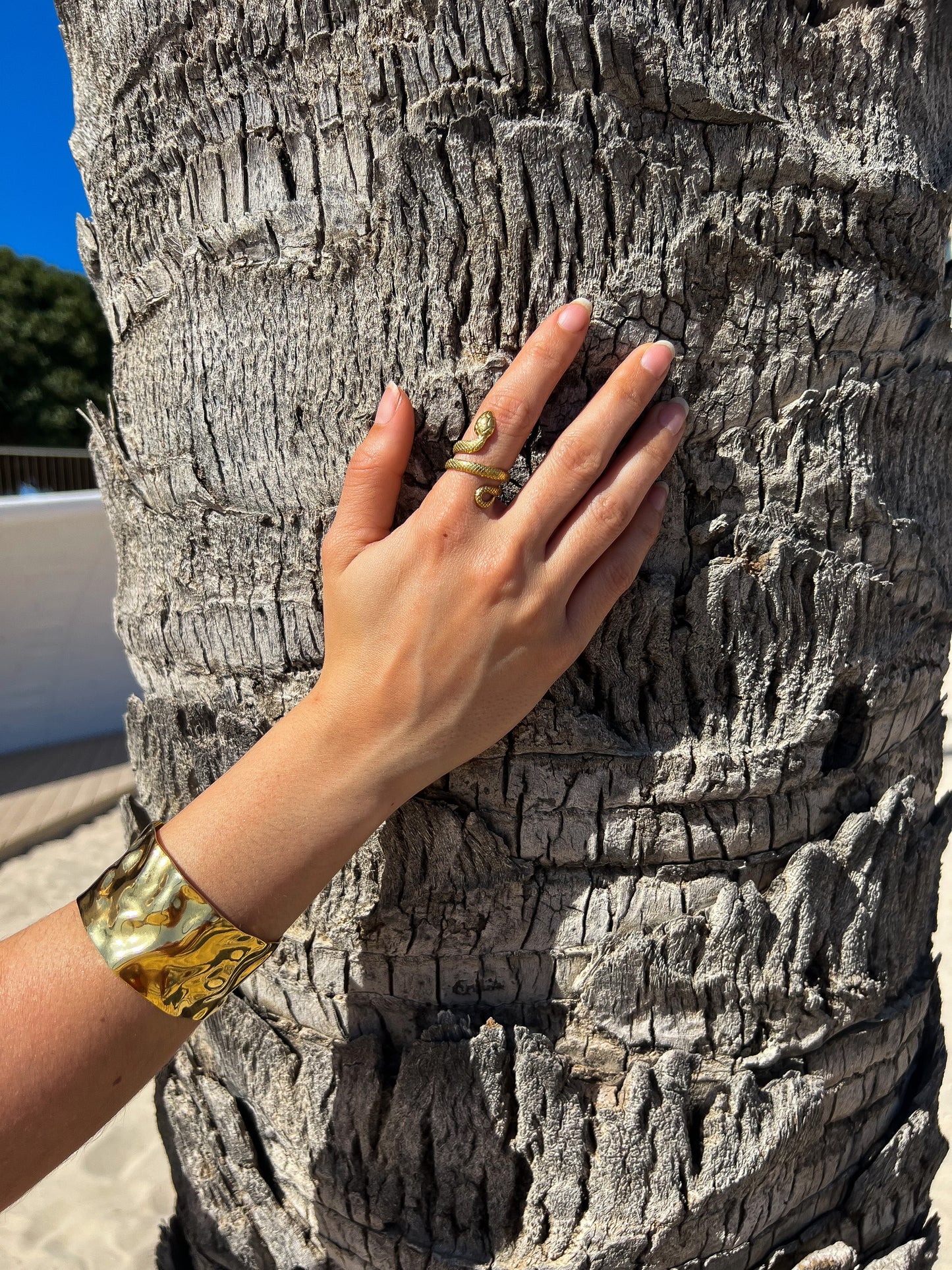 Anillo Serpiente Nagini